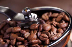 牙買加藍山1號咖啡豆怎麼樣  正宗藍山咖啡粉的沖泡方法和風味