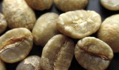 世界五大頂級阿拉比卡咖啡豆產地 肯尼亞咖啡豆手衝單品咖啡風味