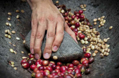 埃塞俄比亞咖啡豆有何特色，咖啡醇厚度要求，日曬和水洗的區別