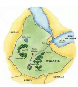 埃塞俄比亞西達莫咖啡豆產區 日曬西達莫風味特點描述