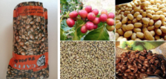 埃塞俄比亞沃利嘎咖啡產地 沃利嘎咖啡豆特點風味描述