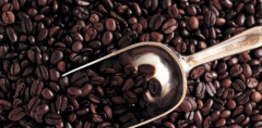 埃塞俄比亞莉姆咖啡產地，莉姆咖啡水洗豆口感特色