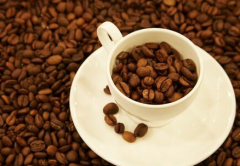 肯尼亞魯伊魯產區咖啡風味 魯伊魯咖啡豆品種