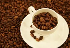 肯尼亞魯伊魯產區咖啡風味 魯伊魯咖啡豆品種