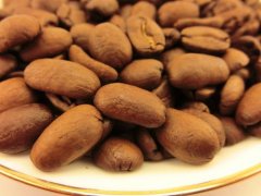 巴西聖埃斯皮裏圖州咖啡豆產區：羅布斯塔咖啡豆產地味覺特色口感