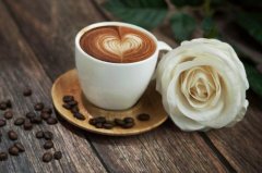 哥倫比亞託利馬咖啡風味 咖啡加肉桂粉咖啡風味描述口感描述