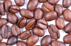 墨西哥咖啡豆華圖司科（Huatusco）產區風味描述口感特點
