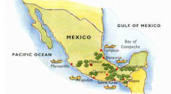 墨西哥馬拉戈日皮（Maragogype）產區：馬拉戈日皮咖啡風味口感