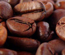 墨西哥利基丹巴爾咖啡豆口感 利基丹巴爾Liquidambar MS咖啡風味