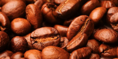 巴拿馬咖啡博克特產區咖啡風味描述 咖啡口味的區別
