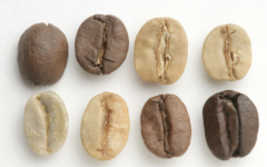 祕魯咖啡產地查西馬約Chanchamayo咖啡口感風味怎麼描述
