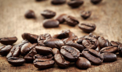 多米尼加咖啡中央山區錫瓦奧產區高地咖啡品種口感特點