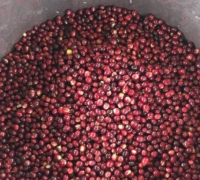 厄瓜多爾洛哈產區介紹 水洗日曬咖啡豆沖泡味道口感風味特點