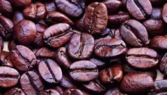 安哥拉有什麼咖啡 安哥拉安巴利姆Amborm咖啡品質怎麼樣
