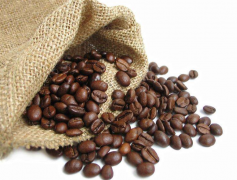 安哥拉種植咖啡歷史 安哥拉新裏東杜Novo Redondo咖啡品種產量