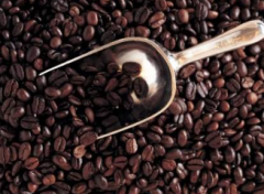 新喀里多尼亞New Caledonia咖啡品種及口味特點介紹