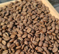 哥倫比亞安蒂奧基亞省Antioquia 咖啡品嚐與風味口感描述