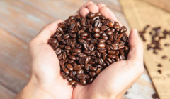 巴西阿拉比卡咖啡價格昂貴的原因 阿拉比卡咖啡豆口感好嗎？