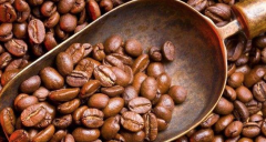 肯尼亞埃爾貢山咖啡豆怎麼樣 北歐咖啡豆烘豆冠軍介紹