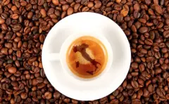 安哥拉咖啡ginga咖啡是不是黑咖啡 安哥拉哪個牌子咖啡好
