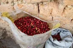 布隆迪著名咖啡布隆迪咖啡豆怎麼樣 布隆迪咖啡豆風味