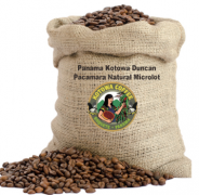 巴拿馬咖啡是最貴的售價如何 巴拿馬鄧肯莊園Kotowa咖啡風味