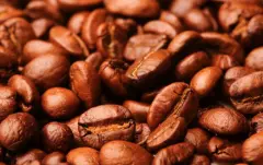 西達摩谷吉Guji產區咖啡價格怎麼樣 日曬西達摩咖啡口感特點