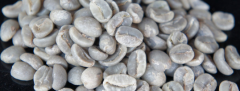 馬拉威Malawi咖啡文化：馬拉威Malawi咖啡品種有哪些