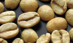 臺灣咖啡品種哪個牌子好 臺灣咖啡豆採下來怎麼加工