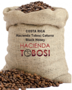 哥斯達黎加託布什莊園咖啡口感描述 哥斯大黎加卡杜拉咖啡價格