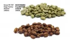 哪種豆類價格最貴 肯尼亞咖啡圓豆在哪裏購買 肯尼亞咖啡圓豆口感