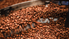 埃塞俄比亞古吉產區咖啡生豆的加工方法 咖啡酸度高是什麼原因