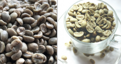 巴拿馬咖啡莊園 Lerida蕾麗達莊園咖啡生豆性價比 咖啡生豆價格