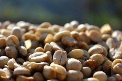 埃塞俄比亞耶加雪菲科契爾G1水洗咖啡豆最新價格如何