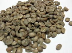 哥斯達黎加火鳳凰莊園咖啡等級棚架日曬處理咖啡生豆價格
