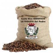 哥斯達黎加卡內特莊園咖啡品種黃卡杜艾水洗處理咖啡豆價格