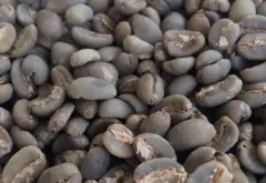 埃塞俄比亞耶加雪菲查奧巴Chelba G1咖啡生豆精選日曬咖啡價格