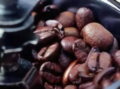 印度咖啡便宜嗎印度咖啡的價格表 印度咖啡有什麼功效