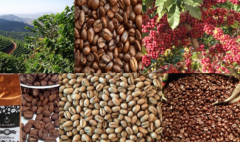哥倫比亞Monteblanco莊園粉紅波旁水洗咖啡豆風味描述