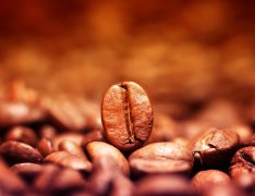 埃塞俄比亞西達摩產區 日曬西達摩咖啡G3風味描述特點口感怎麼樣