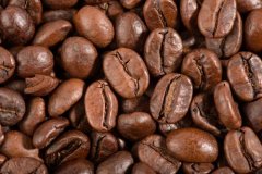 埃塞俄比亞咖啡產區西達摩谷吉水洗谷吉獅子王G1咖啡豆風味的特點