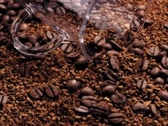 埃塞俄比亞水洗西達摩咖啡豆水洗精品古伎西達摩圓豆G1咖啡豆風味
