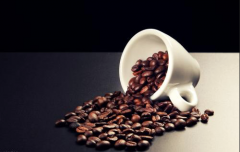 烏干達布基蘇咖啡產區 烏干達布基蘇水洗AA咖啡豆風味的特點