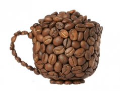 哥斯達黎加咖啡產區塔拉珠生態處理廠黃金塔拉珠紅蜜咖啡風味描述