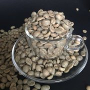哥倫比亞咖啡產區Cauca FNC微批次甜橙咖啡豆的種類及口味風味