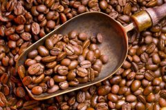東帝汶咖啡豆圖片產區艾美拉區 拉考村落小農咖啡風味口感描述