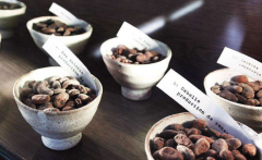 危地馬拉咖啡產區帕倫西亞 日曬處理咖啡豆有什麼口味風味的描述