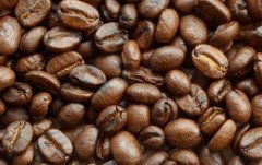 埃塞俄比亞咖啡豆介紹 耶加雪啡歌得G1日曬咖啡故事和豆子酸度
