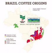 巴西日曬蒙多諾渥精品咖啡豆種植條件 蒙多諾渥咖啡風味介紹