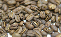 印尼蘇門答臘馬面曼特寧蓋奧山產區咖啡風味 馬面曼特寧咖啡烘焙